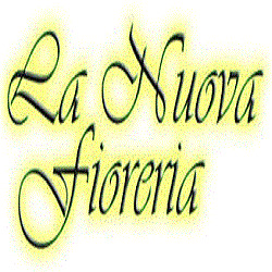 Nuova Fioreria, Piazza Armerina orari di apertura