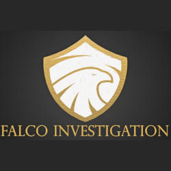 Falco Investigation, Milano orari di apertura