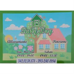 Allevamento Baby Dog, Casaluce orari di apertura