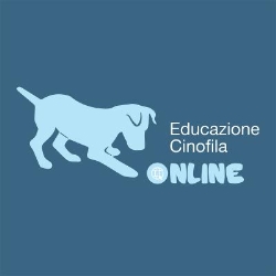 Fabio Marinoni, Como orari di apertura