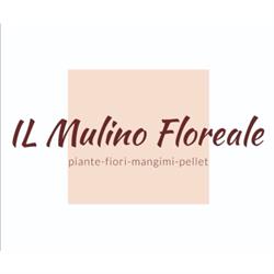 Il Mulino Floreale Rende, Santo Stefano - Orari di apertura