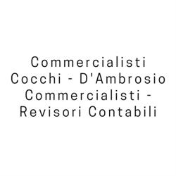 Commercialisti Cocchi - D'Ambrosio Commercialisti - Revisori Contabili, Sora orari di apertura