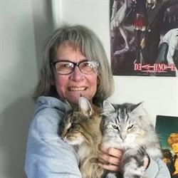 Ambulatorio Veterinario Dr. Vicla Sgaravatti, Milano orari di apertura
