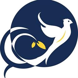 Antarctica Travel Company srl - Tour Operator, Torino orari di apertura