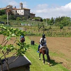 Agriturismo "Podere La Fornace", Cavriglia orari di apertura