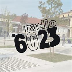 Radio 6023, Vercelli orari di apertura