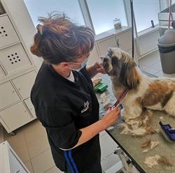 La Mia Toeletta di Parente Fabiana, Roma orari di apertura