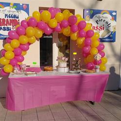 Asilo nido Piccoli Passi Scuola Materna, Grosseto orari di apertura