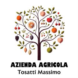 Azienda Agricola Tosatti Massimo, Bomporto orari di apertura