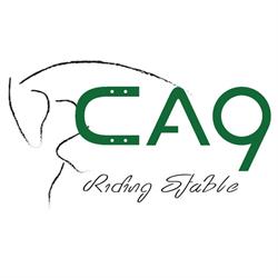 CA9 Riding Stable, Seniga orari di apertura