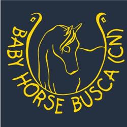 Centro Ippico Baby Horse, Busca orari di apertura