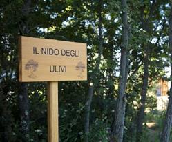 Nido degli Ulivi, Cortona orari di apertura