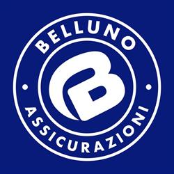 Belluno Assicurazioni - Belluno, orari di apertura