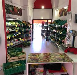 Colori della terra, Campi Salentina orari di apertura
