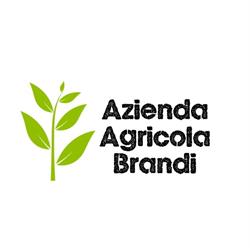 Azienda Agricola Brandi, Santa Vittoria in Matenano orari di apertura