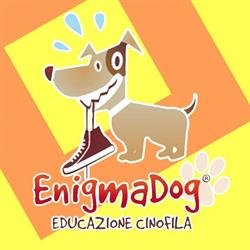 ASD EnigmaDog, Calenzano orari di apertura