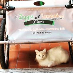 La Zappa e il Lombrico, Barcellona Pozzo di Gotto orari di apertura