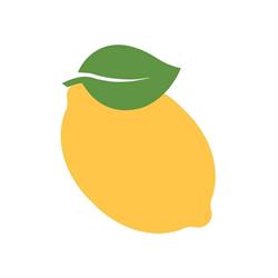 Lemon Srl, Altavilla Vicentina orari di apertura