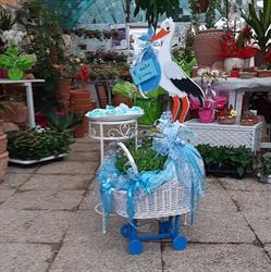 Floricoltura Daniela, Pistoia orari di apertura
