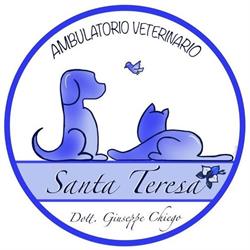 Ambulatorio Veterinario “Santa Teresa” - dott. Giuseppe Chiego, Maruggio orari di apertura
