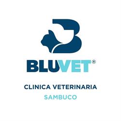 Clinica Veterinaria Sambuco - BluVet, Milano orari di apertura