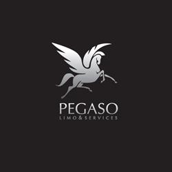 Pegaso Limo&Services, Roma orari di apertura