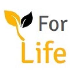 For Life Specialisti in Successioni Ereditarie, Torino orari di apertura