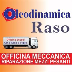 Oleodinamica Raso, Gioia Tauro orari di apertura