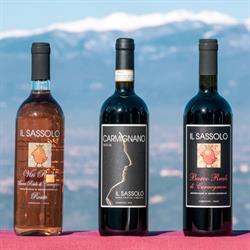 Cantina Podere IL SASSOLO Carmignano, orari di apertura