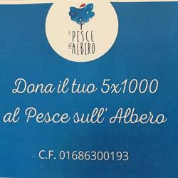 Il pesce sull’albero, Cremona orari di apertura