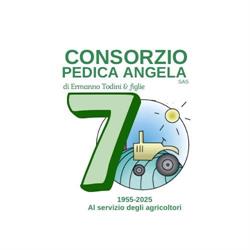 Consorzio Angela Pedica SAS, Fabrica di Roma orari di apertura