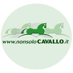 Non Solo Cavallo, Carate Brianza orari di apertura
