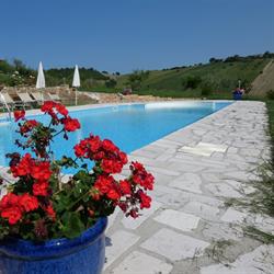 Il Frutteto B&B, Bellante orari di apertura