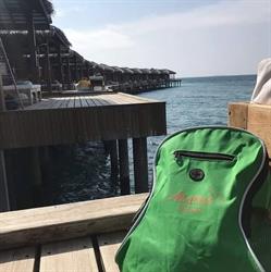 Albatros Travel di Iacovone Lorenzo, Matera orari di apertura