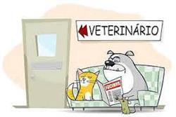 Ambulatorio Veterinario Della Porta Di Della Porta Dott.Ssa Alessandra, Gravina di Catania orari di apertura