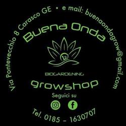 Buena Onda Growshop, Carasco orari di apertura