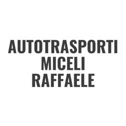 Autotrasporti Miceli Raffaele, Paternò orari di apertura