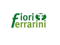 Fiori Ferrarini di Bertazzi Enrica, San Martino Buon Albergo orari di apertura