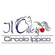 Circolo ippico Il Ciliegio, Tremestieri Etneo orari di apertura