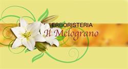 Erboristeria Il Melograno.5, Parma orari di apertura