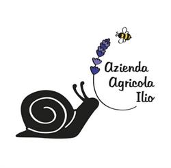 Azienda Agricola ILIO, Langhirano orari di apertura