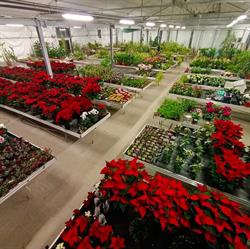 Garden Iobbi, Corridonia orari di apertura