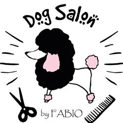 Toelettatura Dog Salon, Gozzano orari di apertura