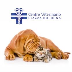 Centro Veterinario Piazza Bologna, Roma orari di apertura