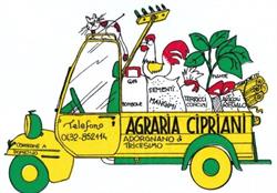 Agraria Cipriani, Tricesimo orari di apertura