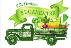 Euganea Tre Snc dei F.lli Trevisan, Cinto Euganeo orari di apertura