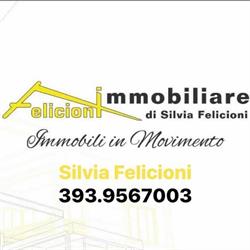 FELICIONI IMMOBILIARE di FELICIONI SILVIA, Civitavecchia orari di apertura