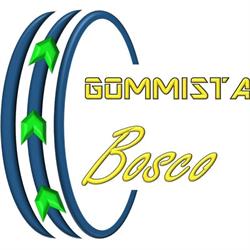 Gommista Bosco, San Lorenzo del Vallo orari di apertura