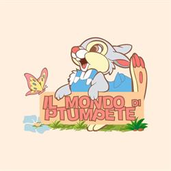 Bimbilandia - Il Mondo di Ptumpete - micronido, Noale orari di apertura