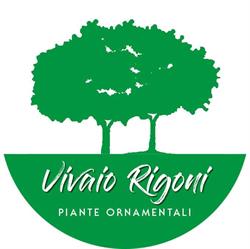 Vivaio Rigoni Piante Ornamentali, Limena orari di apertura